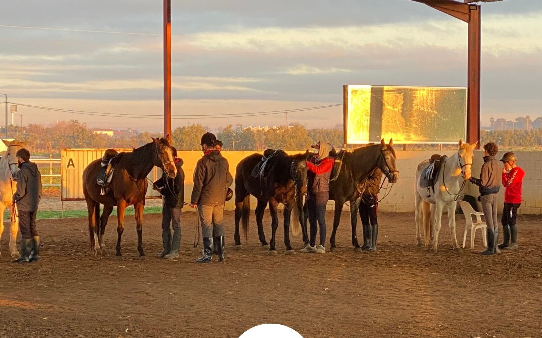 La escuela utrerana de Hípica Paloblanco realiza un evento clasificatorio para la IX Copa de Andalucía de Doma Clásica y adaptada