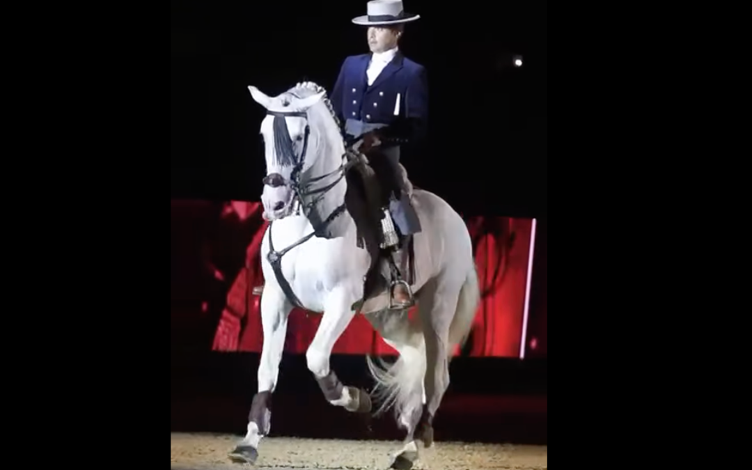 El utrerano Carlos Martín Giráldez participa en SICAB 2025, cita internacional del caballo pura raza española [vídeo]