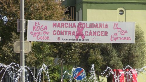 IV-Marcha-contra-el-cancer-114